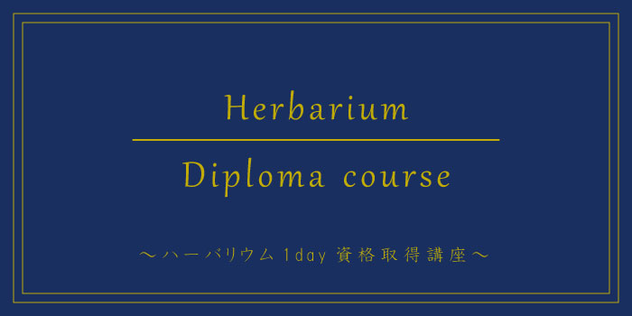 diploma：1day course