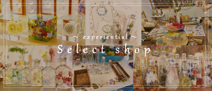 experiential Select shop