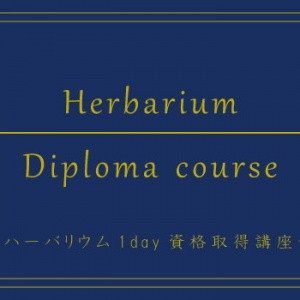 diploma：1day course